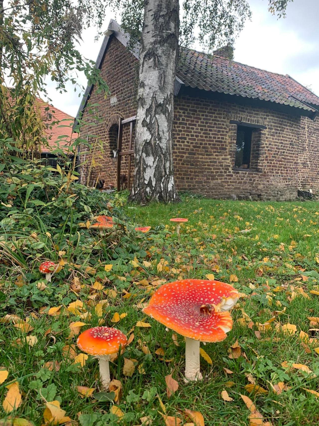 B&B En Vakantiewoningen 'T Wienhoes Wittem Dış mekan fotoğraf
